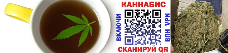 Купить где Сосновоборск Canna-Cookies конопля