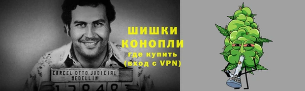 амф Белокуриха