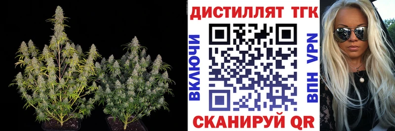 Дистиллят ТГК Wax  Купить где  Сосновоборск 