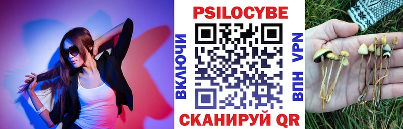 Галлюциногенные грибы Psilocybine cubensis  Купить  Сосновоборск 