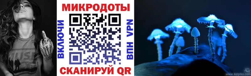 Псилоцибиновые грибы Psilocybine cubensis Сосновоборск